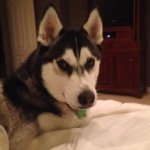 Ed Youngman - @edyoungman - Instagram