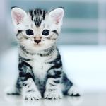 eda ahmed ahmed - @edaahmed.a - Instagram