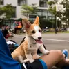 Minh Tiến - @edacolon5 - TikTok