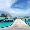 EdaM MohameD - @adammohamed985 - TikTok