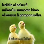 Mohammed Eda'o - Facebook