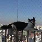 Eda - @edaromano - Instagram