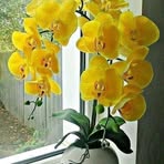 Eda Santos - Facebook