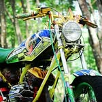 edan_king_135cc - @edan_king_135cc - Instagram