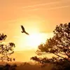 Eddie Bailey - @eddie.bailey2 - TikTok