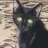 eddydbell - @eddydbell - TikTok
