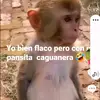 Eddy Castillo - @eddycast45 - TikTok