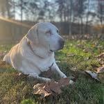 EddCollins87 - @eddcollins87 - Instagram