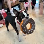 Eddie - @eddcook1 - Instagram