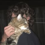 Edd Evans - @artistic.playful.cats - Instagram