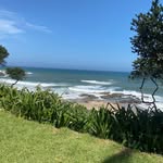 Ed Groenewald - @eddgreen914 - Instagram