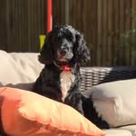Eddy Hayes - @eddyhayes - Instagram