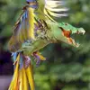 Ed Henry - @ed.henry18 - TikTok
