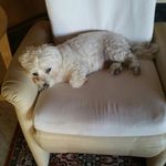 Edd Henry Stephens - @edd.h.stephens - Instagram