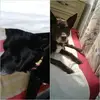 eddyowen220 - @eddyowen220 - TikTok