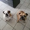 Ed & Paul - @mak.attack.9 - TikTok