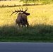Edd Roberts - Facebook