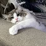 Edd Shope - Facebook