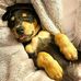 Edd Smith - Facebook