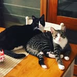 eddy.rain.snow - @eddy.rain.snow - Instagram