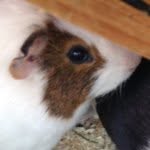 Edd Stone Woodcock - @edd_stone - Instagram