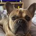 Edd Thomas - Facebook
