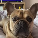 Edd Thomas - @eddthomas4 - Instagram