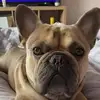 eddthomas195 - @eddthomas195 - TikTok