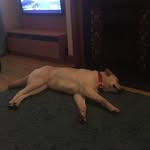 Edd - @eddward__ - Instagram