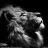Ed Woods - @user2150901296910 - TikTok