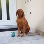 Edda Booth - @edda_booth - Instagram
