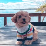 Edda - @edda_boo - Instagram