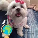 Edda Ortiz - @edda.ortiz.756 - Instagram