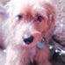 Edda Perez - Facebook