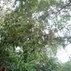 Edda Pérez - @user41138556975558 - TikTok
