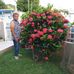 Edda Rodriguez - Facebook