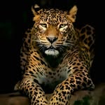 Eddi Pérez - @eddi.perez.9406 - Instagram