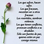 Eddi Perez - @eddiperezprieto15 - Instagram