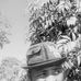 Eddie Aaron - Facebook