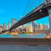 Eddie 🗽 NYC - @eddiealvarez.ny2 - TikTok