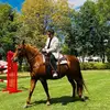 EddieAnton211 - @eddieanton211 - TikTok
