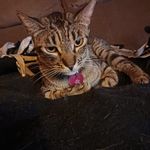 Eddie Apodaca - @elapodaca007 - Instagram