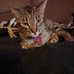 Eddie Apodaca - Facebook