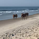 Eddie Archer - @archer5271 - Instagram