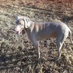 Eddie Barton - @eddie.barton.794 - Instagram