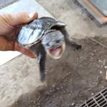 Eddie Benoit - @eddiebenoit3 - Instagram