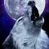 Eddie bentley - @eddie.bentley6 - TikTok