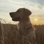 Eddie - @eddie_bentley_ - Instagram