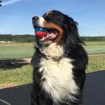 @eddie_bernersennen - Instagram