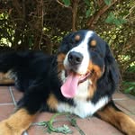 Eddie Boef Berner - @berner_eddie - Instagram
